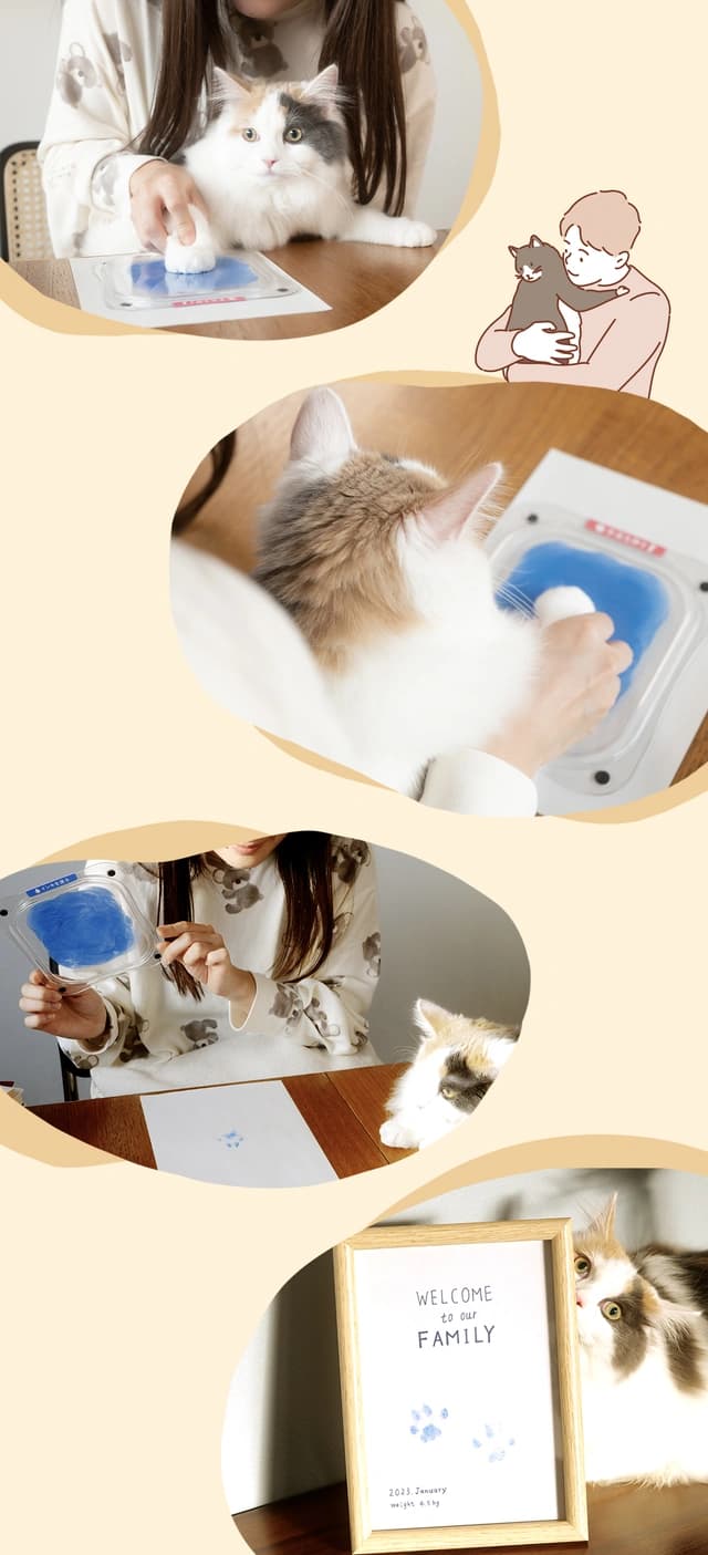 ぺたっち