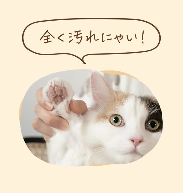 ぺたっち