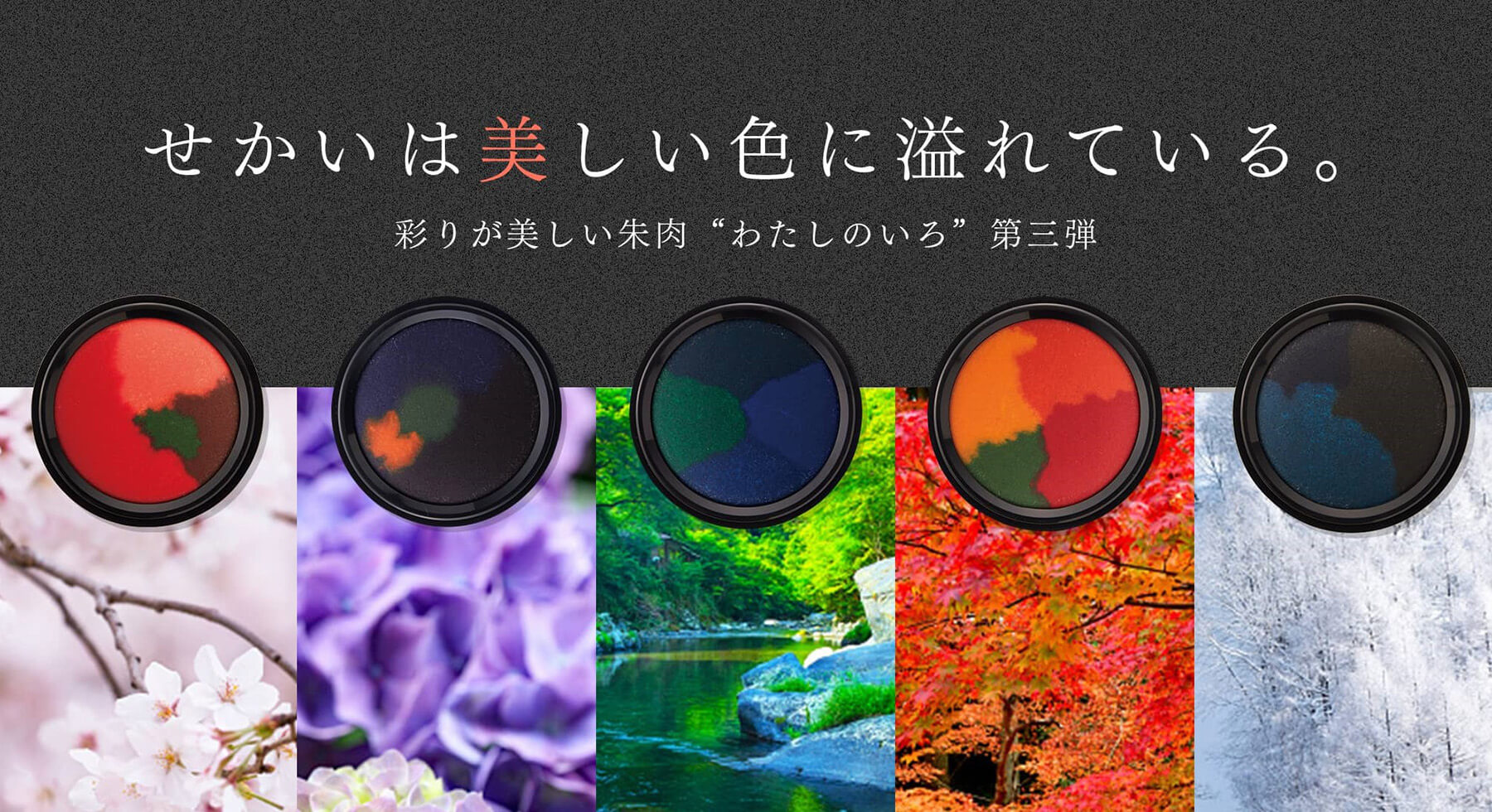 わたしのいろ