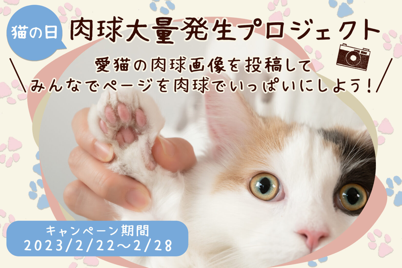 【2/22は猫の日】＃肉球大量発生プロジェクト！愛猫の肉球画像でページを埋め尽くそう！！！