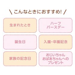 シャチハタ【手形・足形アート制作用セット】FirstArt A5サイズ_4