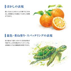 Artline 水彩色鉛筆 LIBERIO 黄・オレンジ系_5