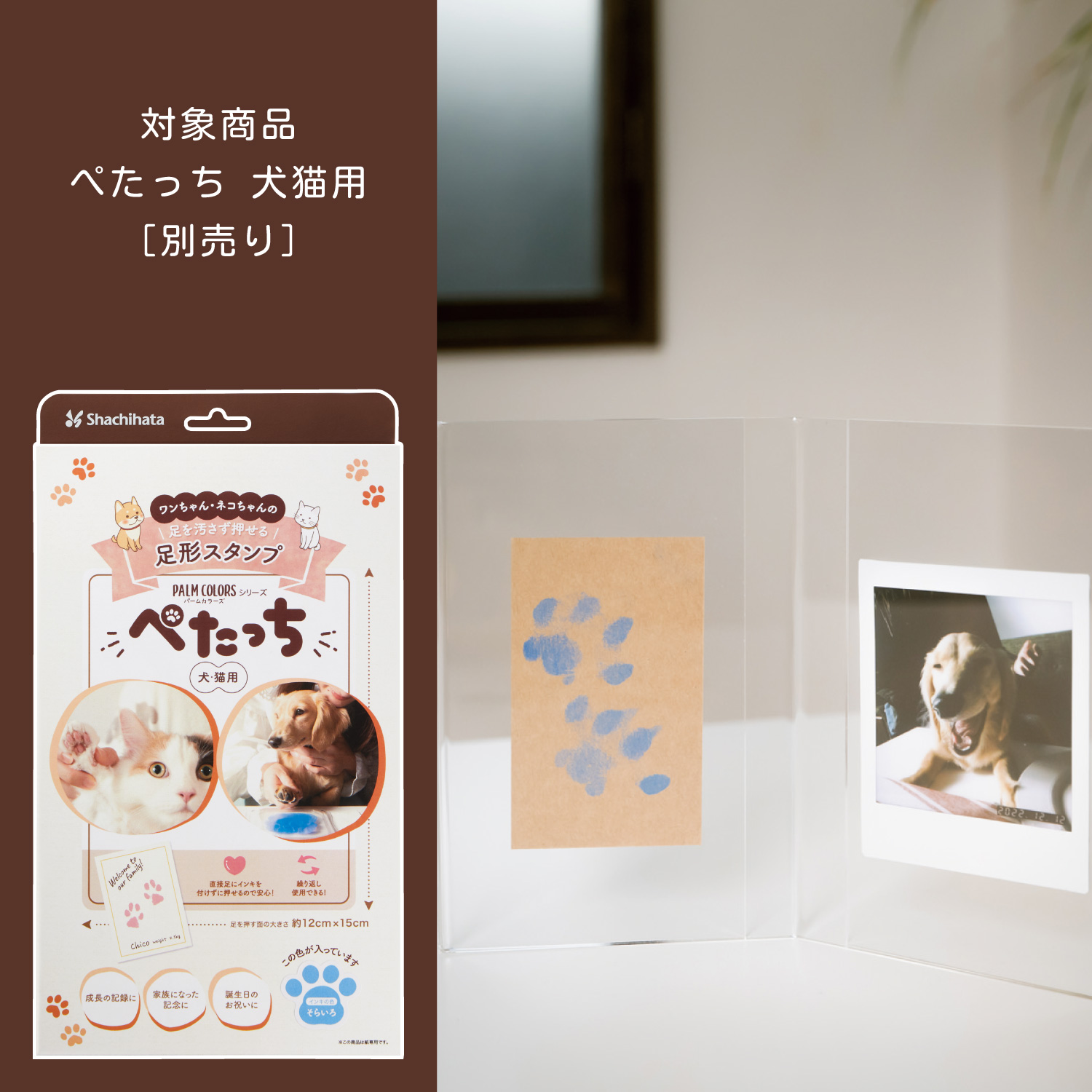 ぺたっち 専用インキパッド_7