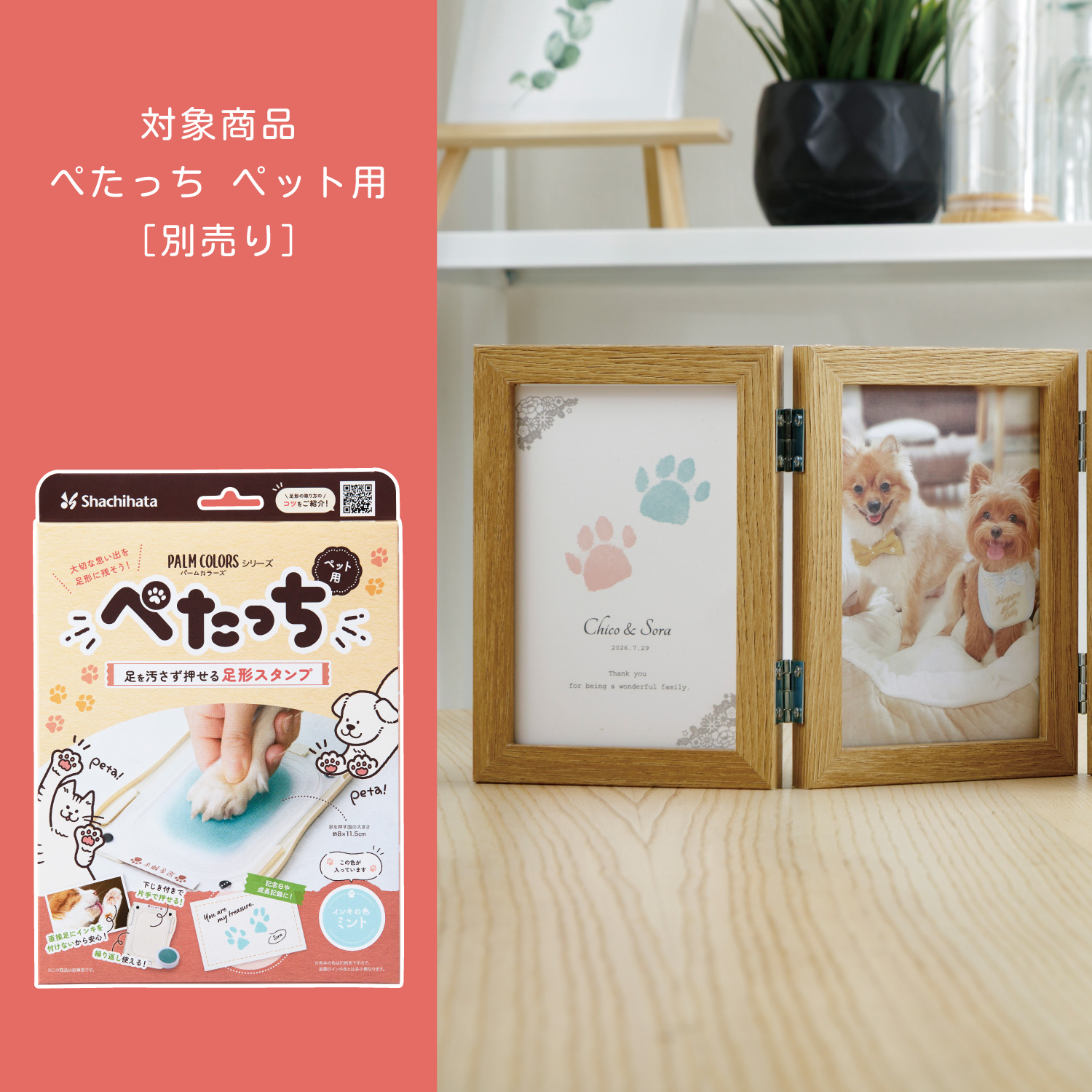 ぺたっち 専用インキパッド_8