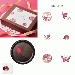 わたしのいろ～とくべつなときのきおく～_6