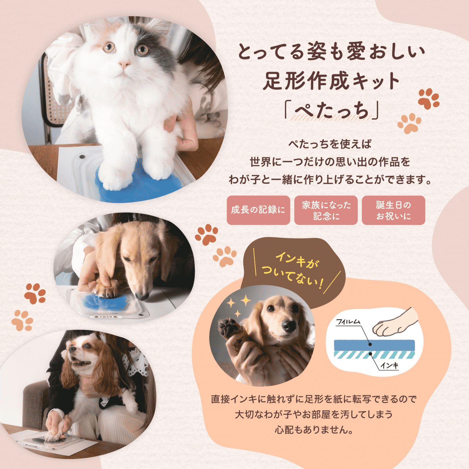 ぺたっち 犬猫用_3