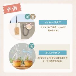 マスパレード_7