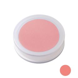 ぺたっち 専用インキパッド あか