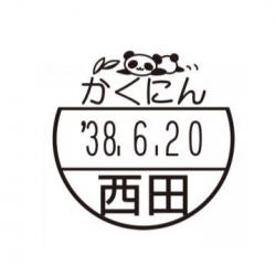 イラストデーターネームEX15号 印面のみ【別注品】 DB4