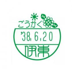 イラストデーターネームEX15号 印面のみ【別注品】 DC3