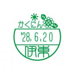 イラストデーターネームEX15号 印面のみ【別注品】 DC4