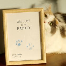 フレーム・台紙セット(A5サイズ)_2