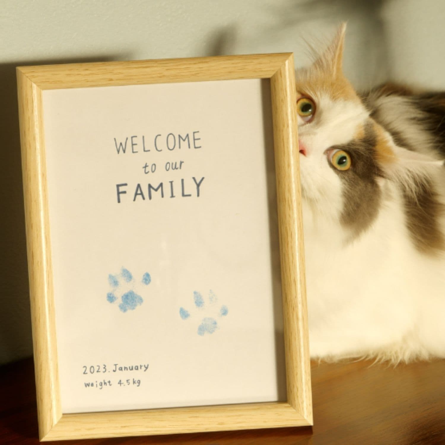 フレーム・台紙セット(A5サイズ)_2