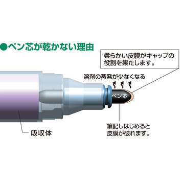 乾きまペン 油性マーカー 太字・角芯 12色セット 紙ケース_2