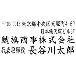 住所印(28.5×58.5mm) アクリル【別注ゴム印】3行タイプ ヨコ 〒+住所2行+社名+役職名+氏名【17+】