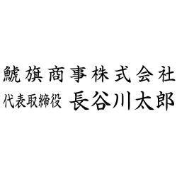 住所印(16.5×64.5mm) アクリル【別注ゴム印】2行タイプ ヨコ 社名+役職名+氏名【05】