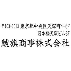 住所印(16.5×58.5mm)  アクリル【別注ゴム印】2行タイプ ヨコ 〒+住所2行+社名【01+】