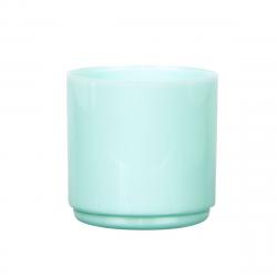 シャチハタ ネーム9 印面キャップ【ネーム印ラボ】 ペールグリーン