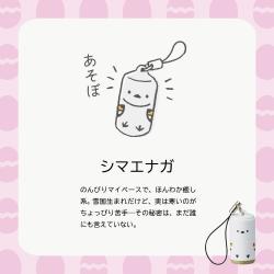 プチネームAnimalEgg(イラストなし印面)_8