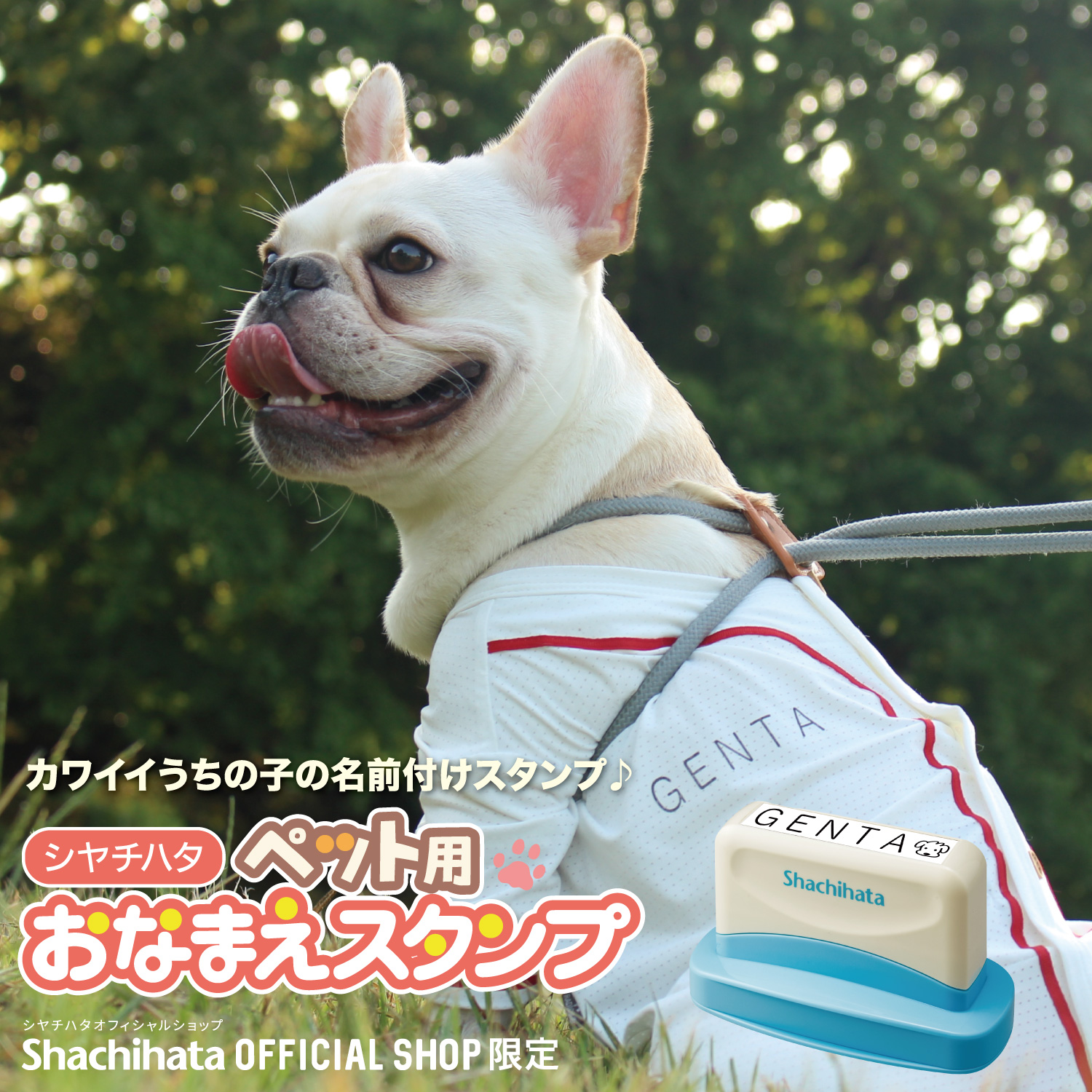 おなまえスタンプ ペット用【メールオーダー式】_1